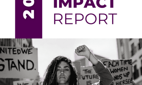 The U.S. End FGM/C Network’s 2022 Impact Report