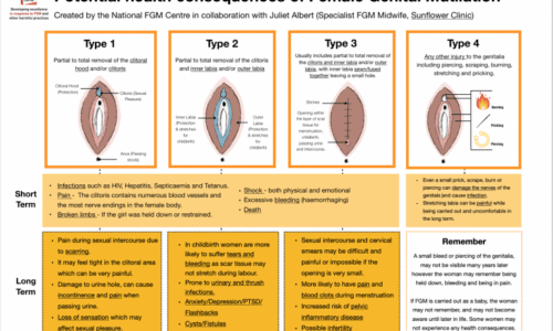 Female Genital Mutilation Health Consequences and Complications A Short Literature Review