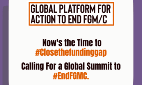 A Joint Letter – Calling for a Global Summit to End FGM/C