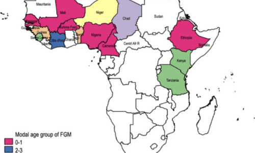 Estimating excess mortality due to female genital mutilation