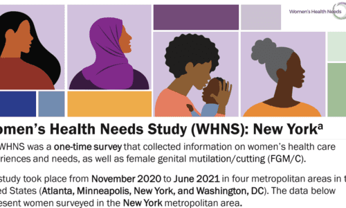 Women’s Health Needs Study (WHNS): New York